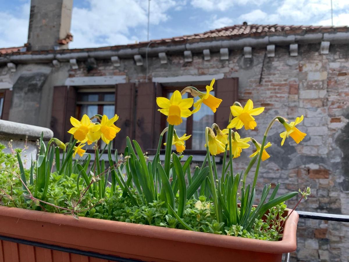 Rooftop Terrace Domus Dei Fabbri Βενετία Εξωτερικό φωτογραφία